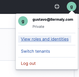 Where to find "view roles and identities" once you log in to Okta.